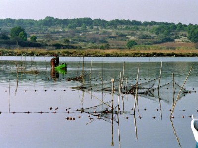 Holiday house Ravenoville Family Stay near Beach - Environment photo 18