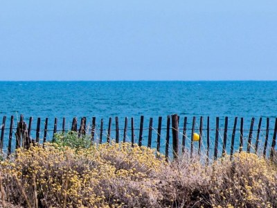 Holiday house Ravenoville Family Stay near Beach - Environment photo 19