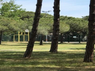 Holiday house Ravenoville Family Stay near Beach - Environment photo 21