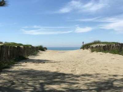 Holiday house Ravenoville Family Stay near Beach - Environment photo 25