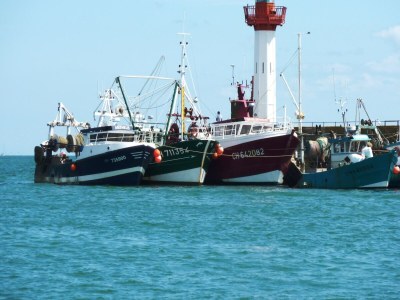 Holiday house Ravenoville Family Stay near Beach - Environment photo 31