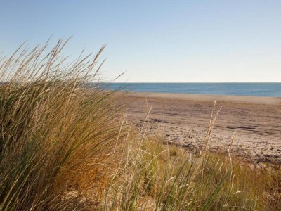 Holiday house Ravenoville Family Stay near Beach - Environment photo 33