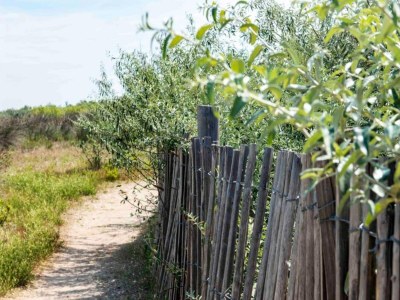 Holiday house Ravenoville Family Stay near Beach - Environment photo 34