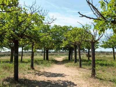 Holiday house Ravenoville Family Stay near Beach - Environment photo 35