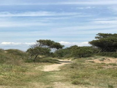 Holiday house Ravenoville Family Stay near Beach - Environment photo 38