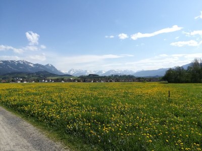 Holiday apartment House Josefa im Allgäu - Environment photo 24