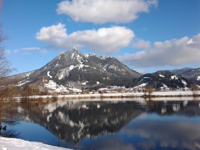 Holiday apartment House Josefa im Allgäu - Environment photo 25