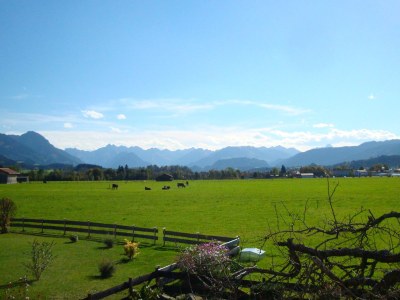 Holiday apartment House Josefa im Allgäu - Environment photo 26