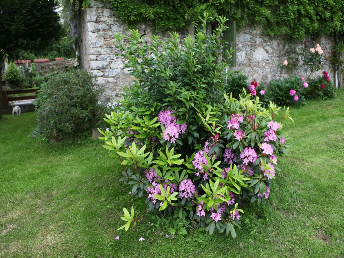 Holiday house Saint-Sauveur Hideaway - Outdoor photo 4