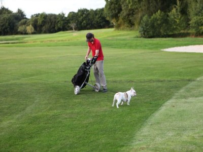 Holiday house Saint-Sauveur Hideaway - Environment photo 36