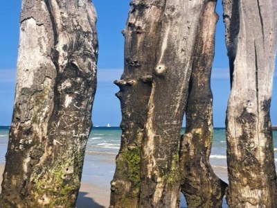 Holiday house Family Escape with Terrace - Environment photo 29