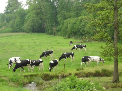 Holiday house Family Escape with Terrace - Environment photo 30