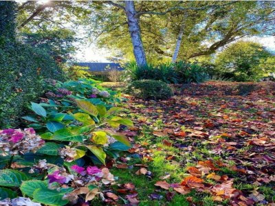 Holiday house Family Escape with Terrace - Environment photo 35