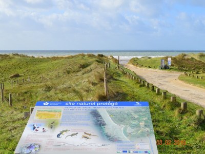 Holiday house Denneville Coastal Escape with garden - Environment photo 36