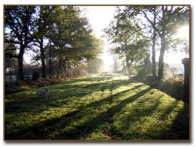 Holiday house Historic Loire Hideaway - Environment photo 34