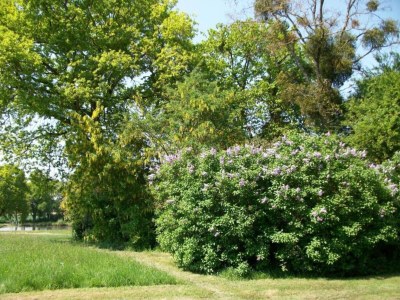 Holiday house Historic Loire Hideaway - Environment photo 35