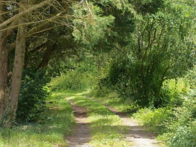 Holiday house Historic Loire Hideaway - Environment photo 37
