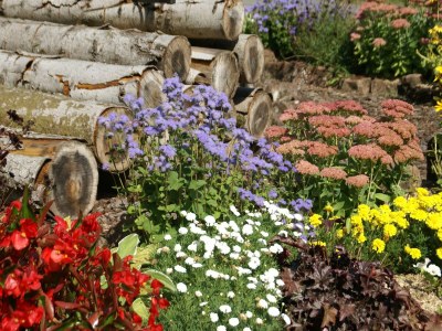 Holiday house Nettancourt Family Stay - Environment photo 27