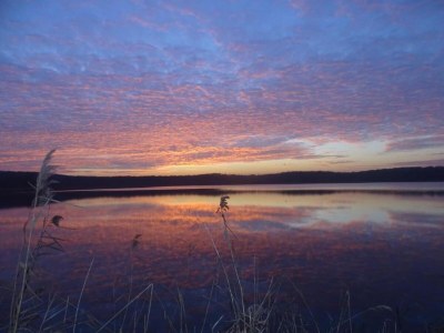 Holiday house Nettancourt Family Stay - Environment photo 28