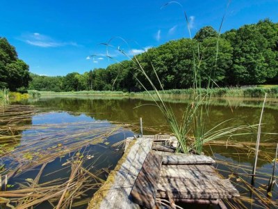 Holiday house Nettancourt Family Stay - Environment photo 30