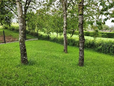 Holiday house Nettancourt Family Stay - Environment photo 32