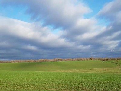 Holiday house Nettancourt Family Stay - Environment photo 33