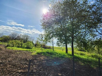 Holiday house Nettancourt Family Stay - Environment photo 34