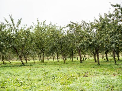 Holiday house Priziac Garden Hideaway - Environment photo 28