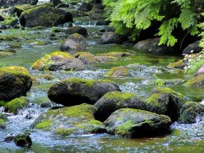 Holiday house Priziac Garden Hideaway - Environment photo 31