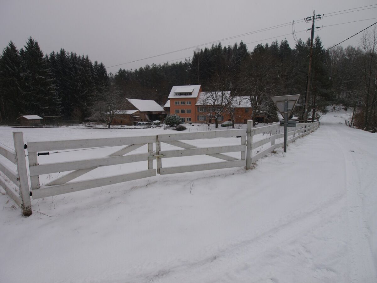 Holiday house Forest Retreat in Vosges - Outdoor photo 5
