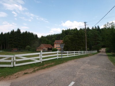 Holiday house Forest Retreat in Vosges - Outdoor photo 13