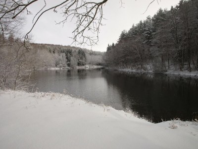 Holiday house Forest Retreat in Vosges - Outdoor photo 15