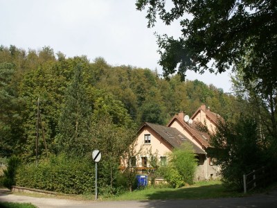 Holiday house Forest Retreat in Vosges - Environment photo 29