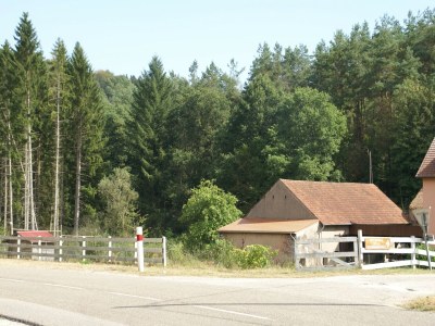 Holiday house Forest Retreat in Vosges - Environment photo 30