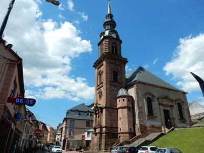 Holiday house Forest Retreat in Vosges - Environment photo 31