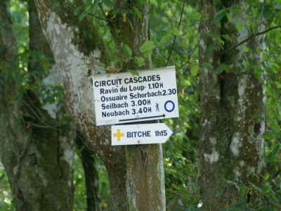 Holiday house Forest Retreat in Vosges - Environment photo 33