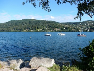 Holiday house Forest Retreat in Vosges - Environment photo 35