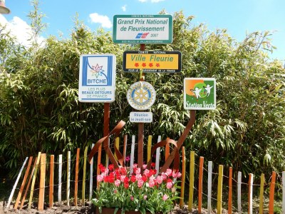 Holiday house Forest Retreat in Vosges - Environment photo 36