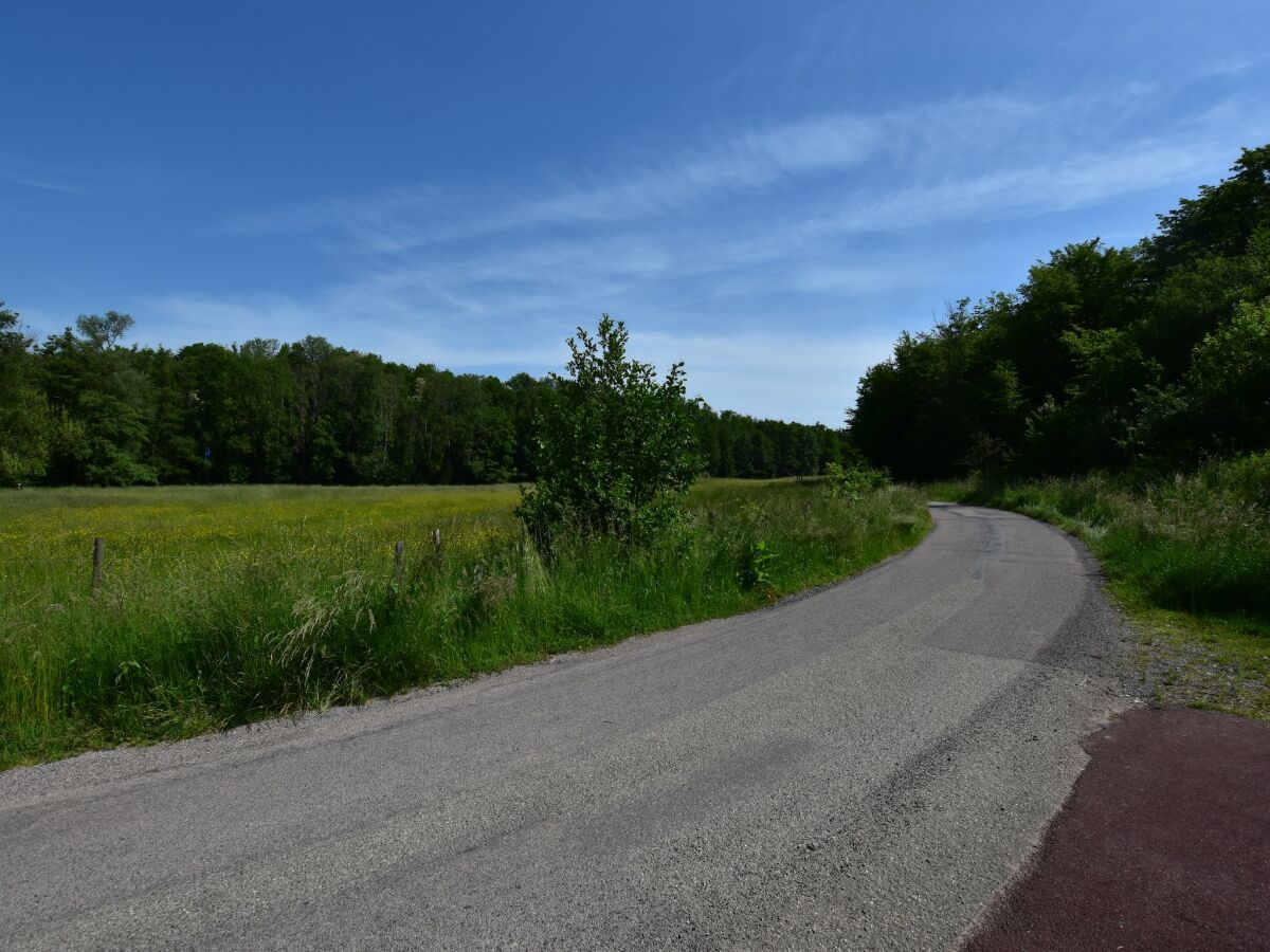 Holiday house Vosges Retreat with Sauna - Outdoor photo 3