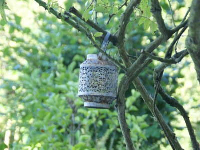 Holiday house Vosges Retreat with Sauna - Outdoor photo 38