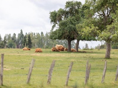 Holiday house Wellness & Abenteuer-Auszeit - Environment photo 30