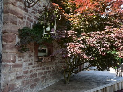 Holiday house Wellness & Abenteuer-Auszeit - Outdoor photo 39