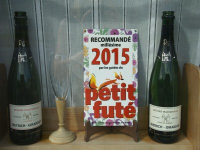 Holiday house Holiday home in Vic-sur-Seille near the forest - Environment photo 21