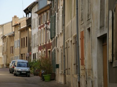 Holiday house Holiday home in Vic-sur-Seille near the forest - Environment photo 22