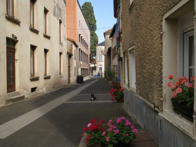 Holiday house Holiday home in Vic-sur-Seille near the forest - Environment photo 23