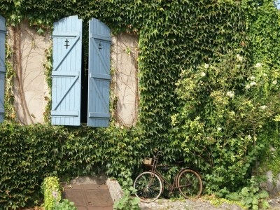 Holiday house Holiday home in Vic-sur-Seille near the forest - Environment photo 24