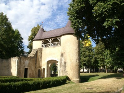 Holiday house Holiday home in Vic-sur-Seille near the forest - Environment photo 27