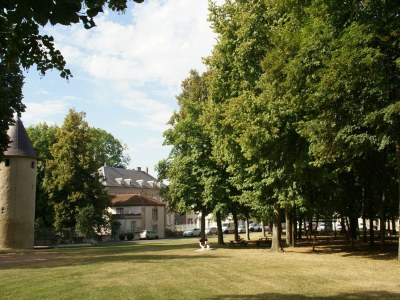 Holiday house Holiday home in Vic-sur-Seille near the forest - Environment photo 29