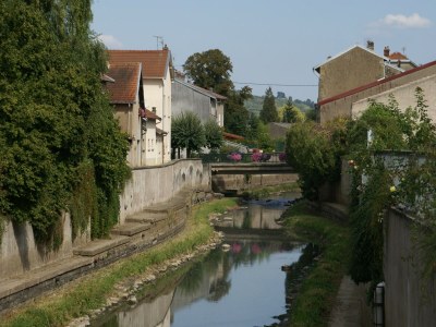 Holiday house Holiday home in Vic-sur-Seille near the forest - Environment photo 30