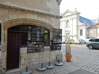 Holiday house Holiday home in Vic-sur-Seille near the forest - Environment photo 34